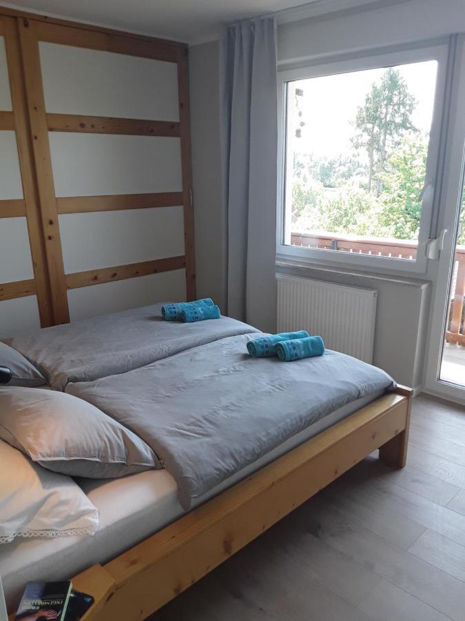Apartmán Hisa Visnar Bled Exteriér fotografie